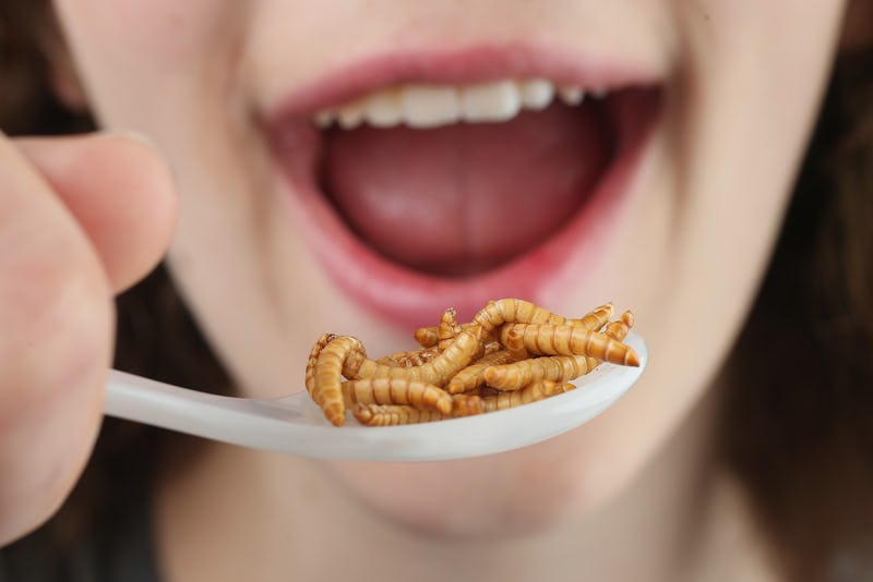 Eating Bugs Is Good For You and Could Help Preserve Natural Resources