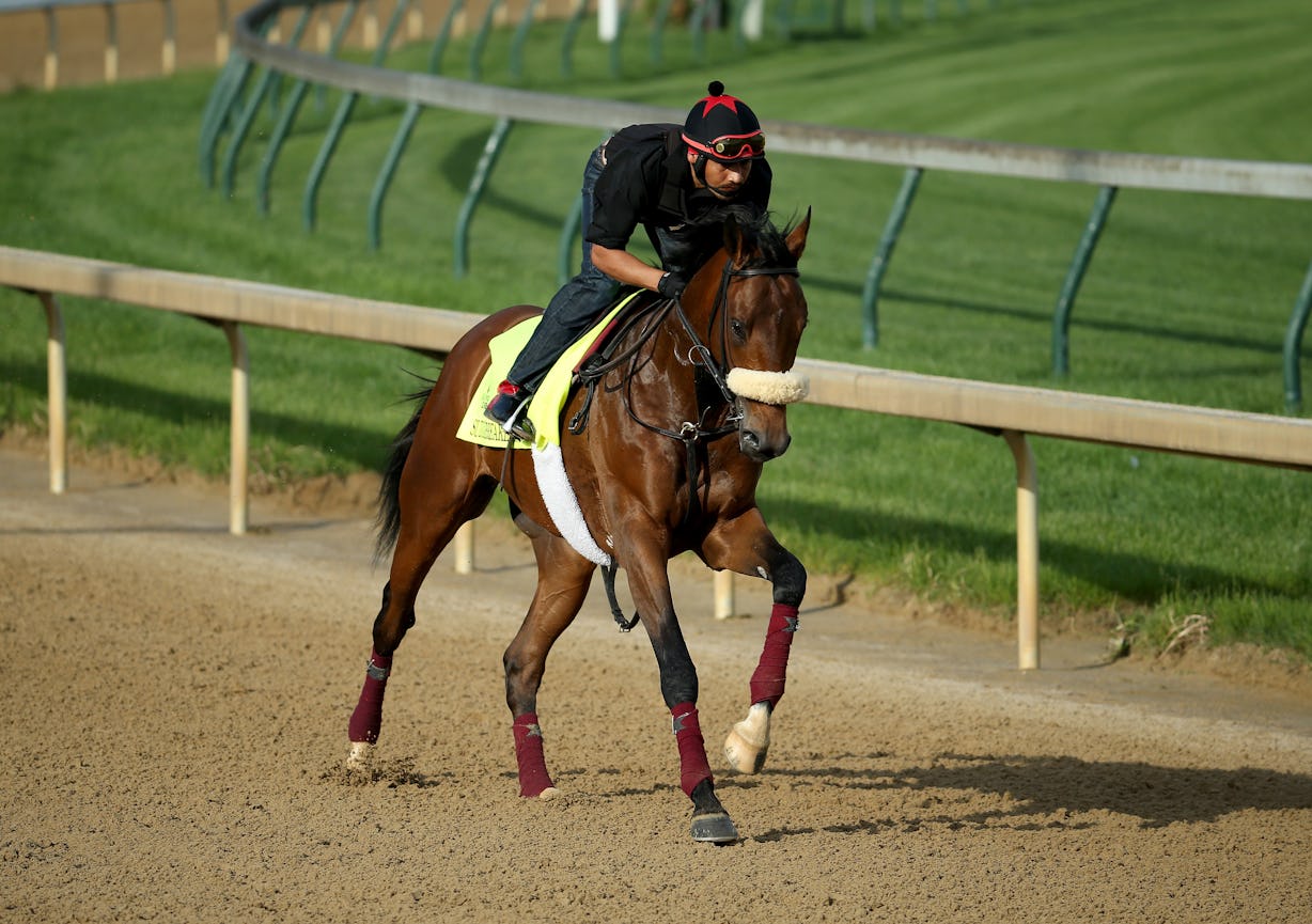 These 2016 Kentucky Derby Favorites Will Have All Eyes On Them