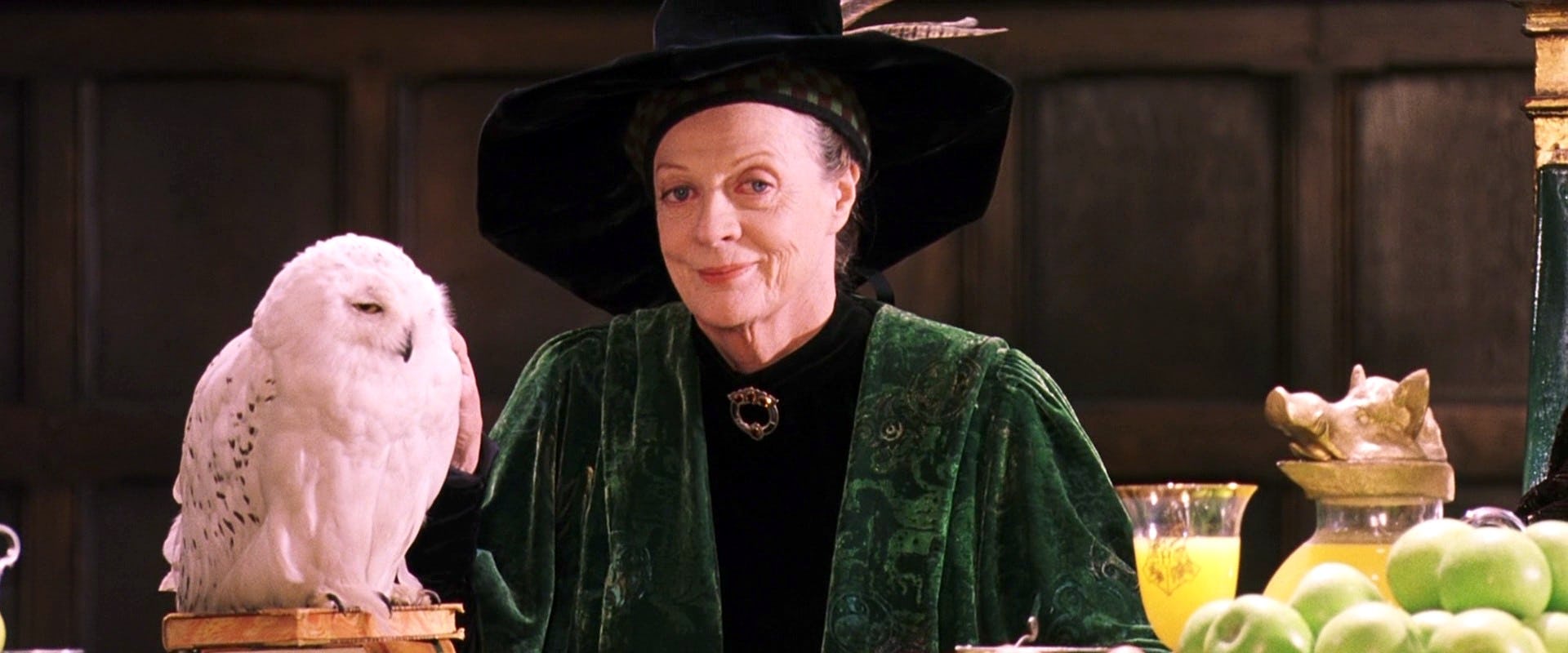 Image result for professor mcgonagall philosopher's stone