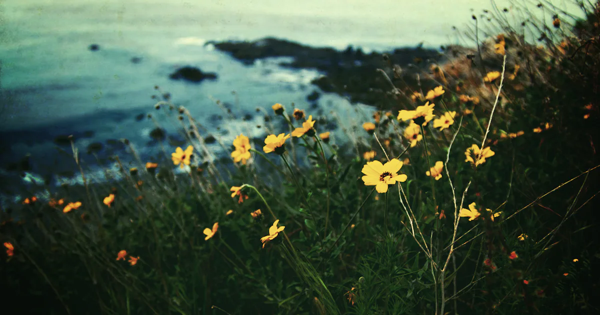 8 First Day Of Spring Celebrations Around The World In Honor Of The ...