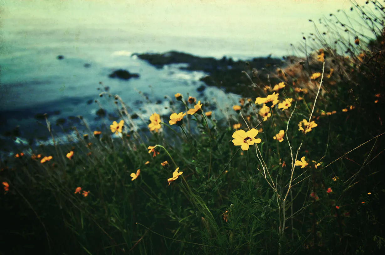 8 First Day Of Spring Celebrations Around The World In Honor Of The ...