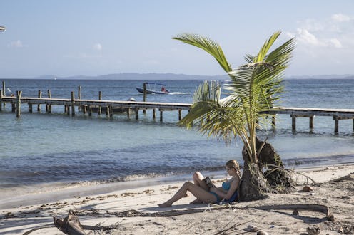A woman sitting at the beach beneath the palm tree reading a book during spring break