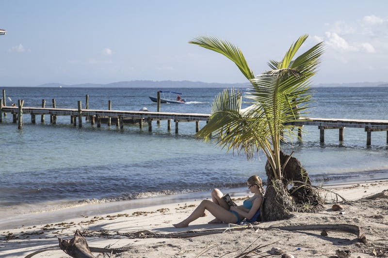 A woman sitting at the beach beneath the palm tree reading a book during spring break