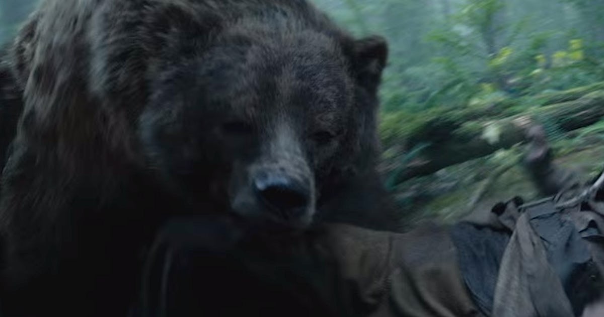 The Revenant Bear Oscars Memes Jokes Are A Nice Break From The Leonardo Dicaprio Award Conversation The Revenant Bear Oscars Memes Jokes Are A Nice Break From The Leonardo Dicaprio Award Conversation
