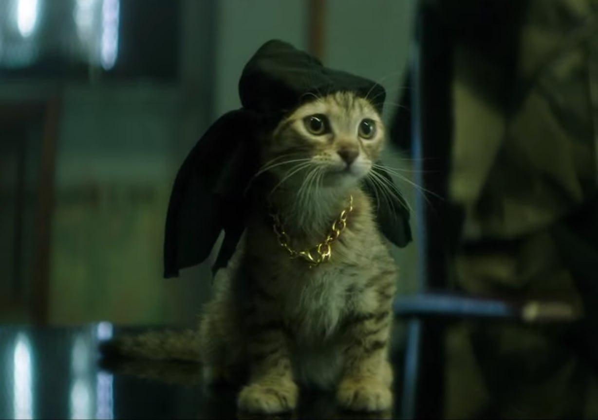 Is The Cat In 'Keanu' Real? The Gangster Kitten Steals The Show