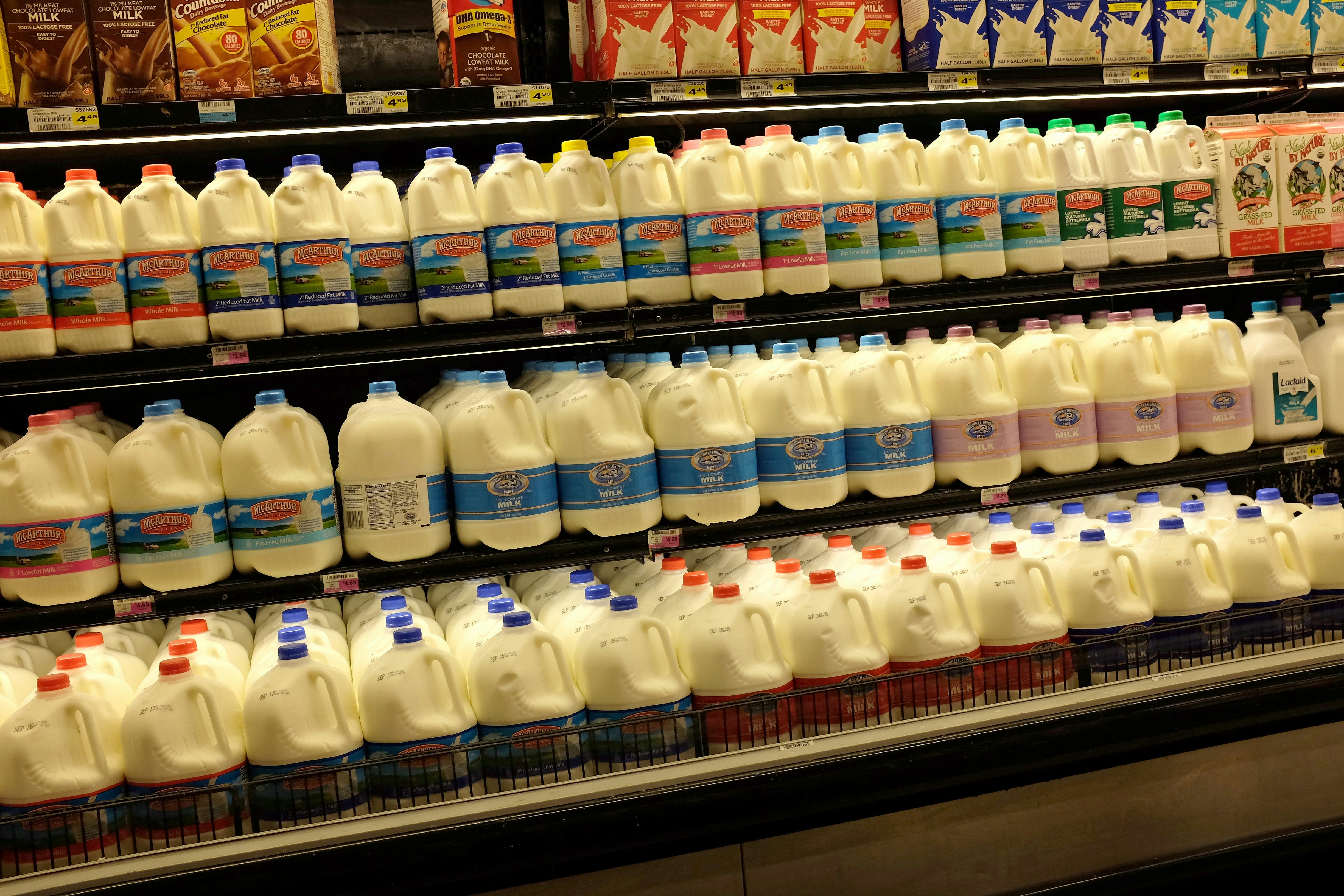 Milk Is Linked To Early Deaths, According To A New Study, & Everything