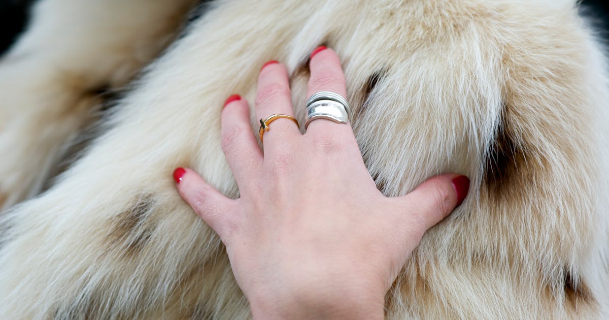 Tout savoir avant d'acheter un manteau en fausse fourrure 8 Comment nettoyer votre manteau en fausse fourrure pour qu'il reste chic et sans cruauté