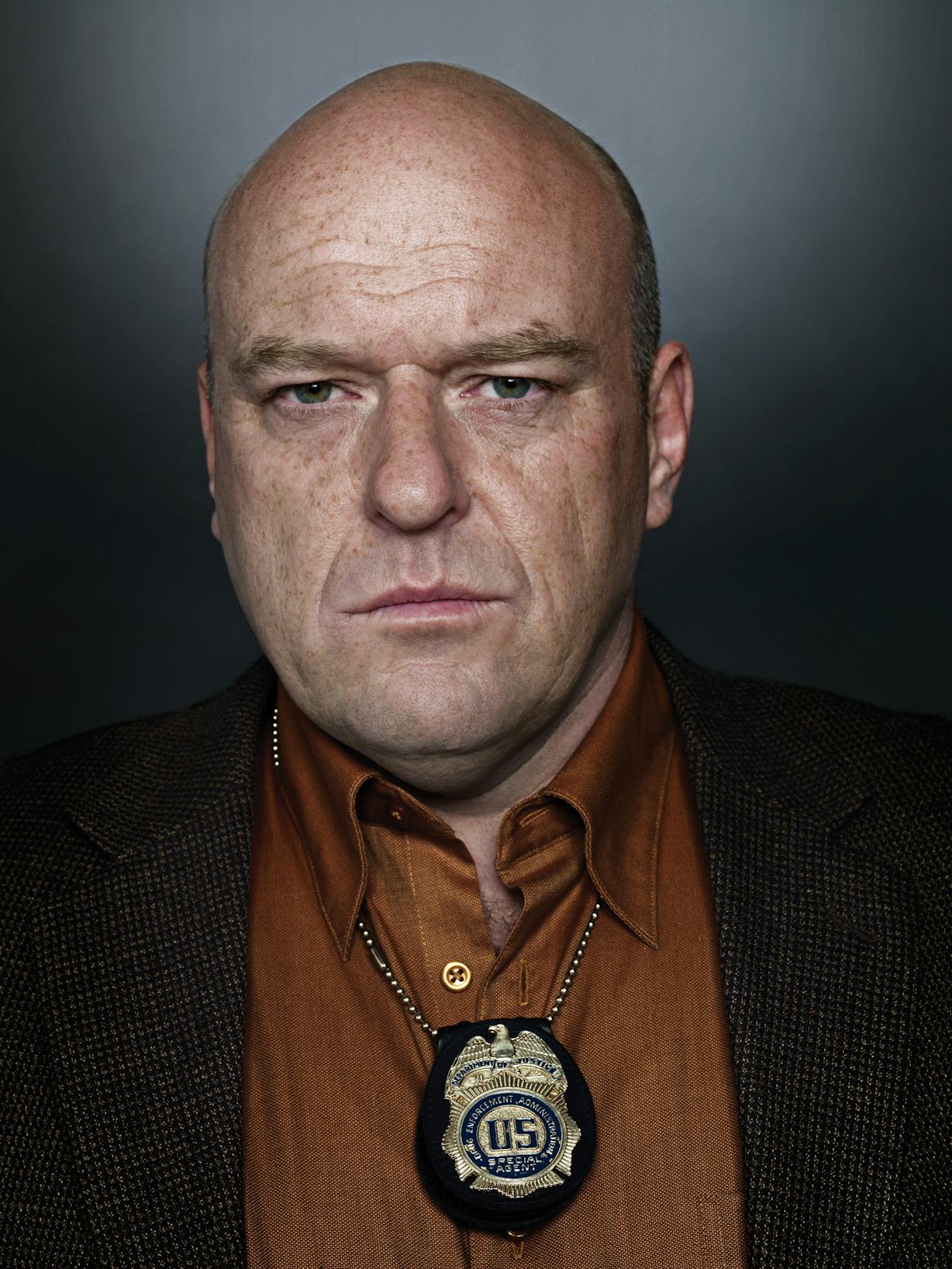 When Did Hank Become The Hero of 'Breaking Bad? 