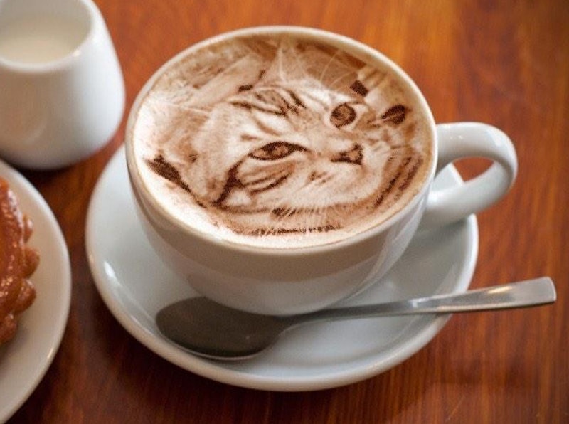This Realistic Cat Latte Art by Twitter User @Dongurinekobei Is