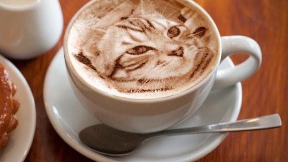 This Realistic Cat Latte Art By Twitter User