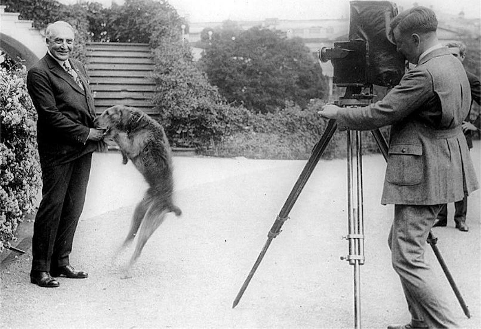 Warren G. Harding's Love Letters Prompt These 4 Presidential Movies