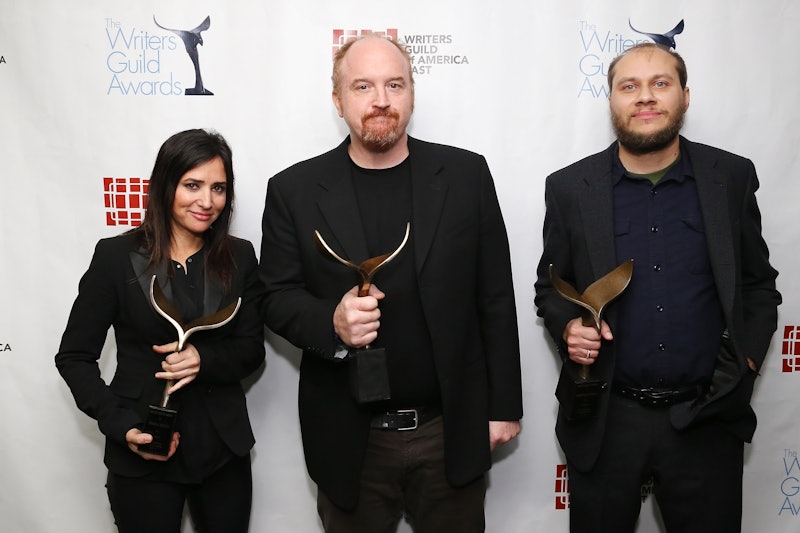 Are Louis CK & Pamela Adlon Dating in Real Life, as They Are on &#39;Louie&#39;?