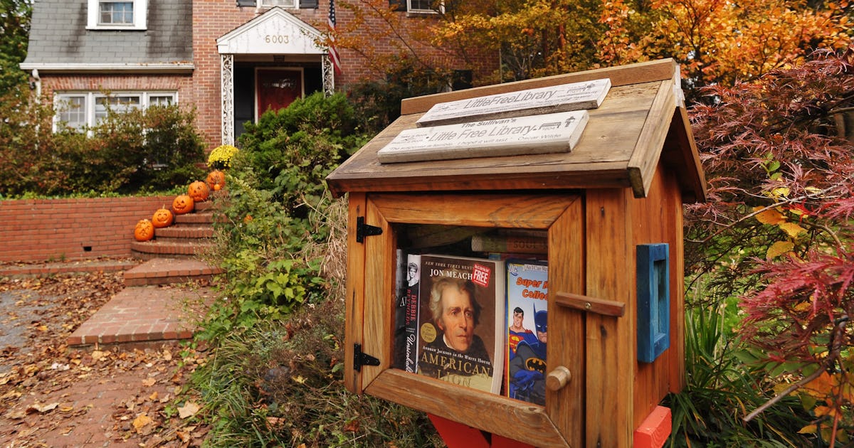 Little Free Library Book Lending Boxes Prove That Incredible Things ...