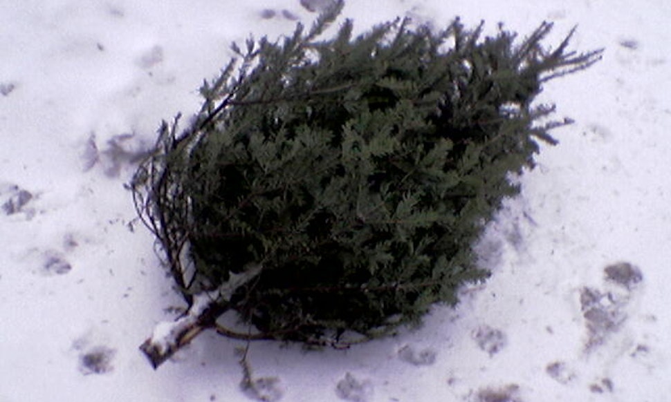 Online dating during the holidays, tryuts madison analsex