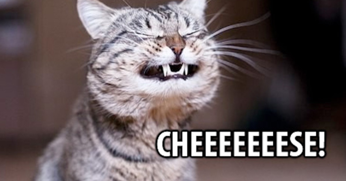 8 National Cheese Day Memes That Are, Well, A Little Cheesy