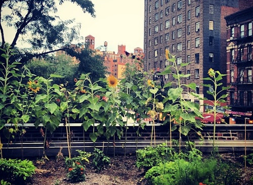 5 Best Rooftop Gardens In New York City Because Farm To Table