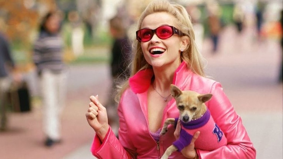 9 Beauty Products In Legally Blonde That Have Totally Stood The