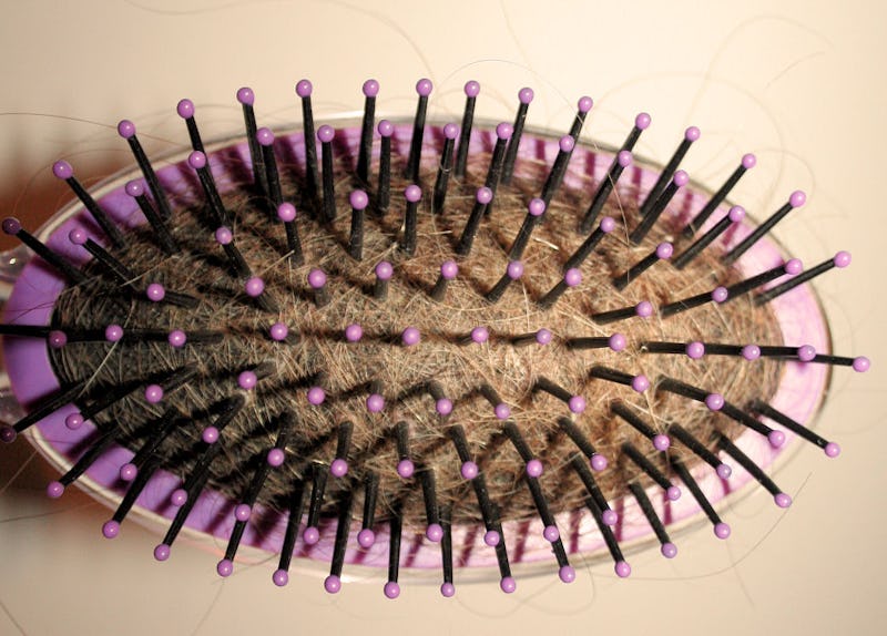 How To Stop Your Hair From Falling Out When Brushing Because It S No Fun Losing Locks To A Comb How To Stop Your Hair From Falling Out When Brushing Because It S No Fun Losing Locks To A Comb