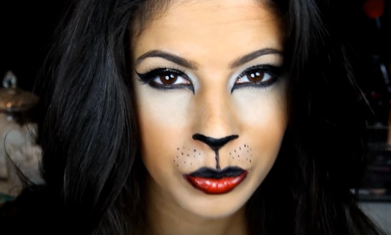 11 Easy Cat Halloween Makeup Tutorials For Every Type Of 11 Easy Cat Halloween Makeup Tutorials For Every Type Of