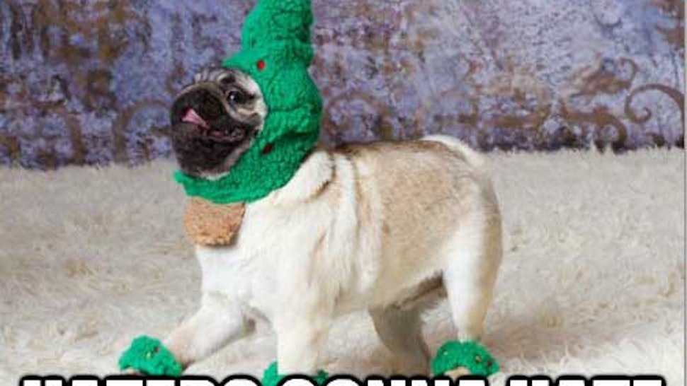 Who knows the feeling?!? happy friday y'all!! stay cool and have a 15 Holiday Memes That Will Get You In The Christmas Spirit (Or Will At