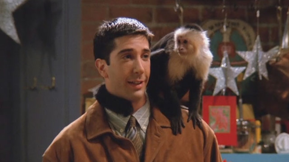 How Old Is Marcel The Monkey From Friends At This Point How Old Is Marcel The Monkey From Friends At This Point