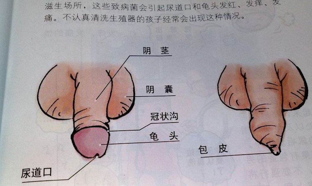 Chinese Women Signing On For Grown Up Sex Ed Classes