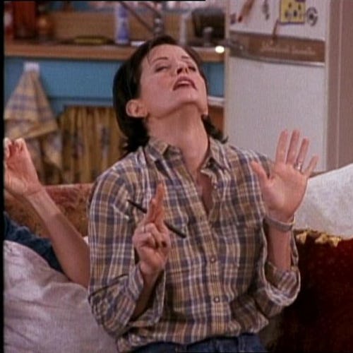 Monica Geller explaining the 7 erogenous zones on 'Friends'