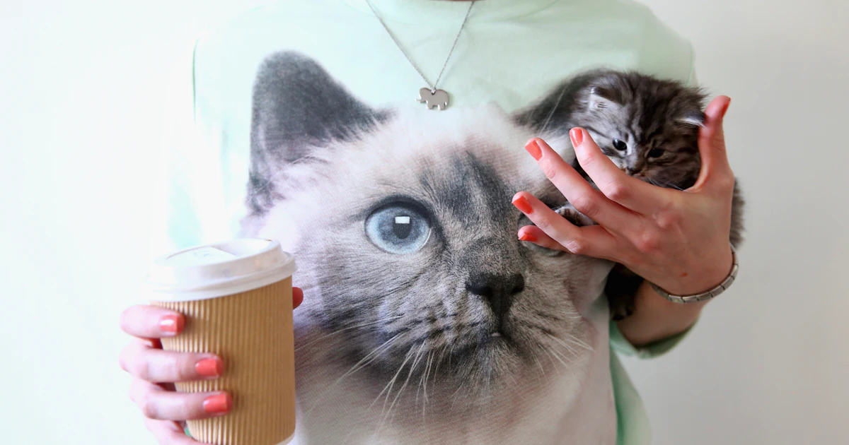 What Do Cat Dreams Mean 11 Dreams About Cats Explained