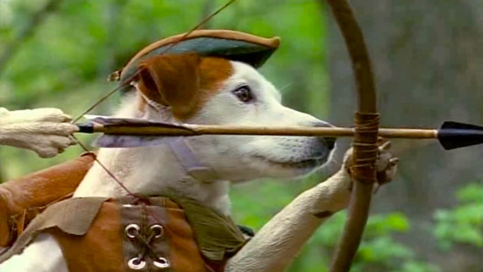 Get Wishbone Dog Breed Goldenacresdogs Com Free HD Get Wallpaper Wishbone Dog Breed Goldenacresdogs Com Free