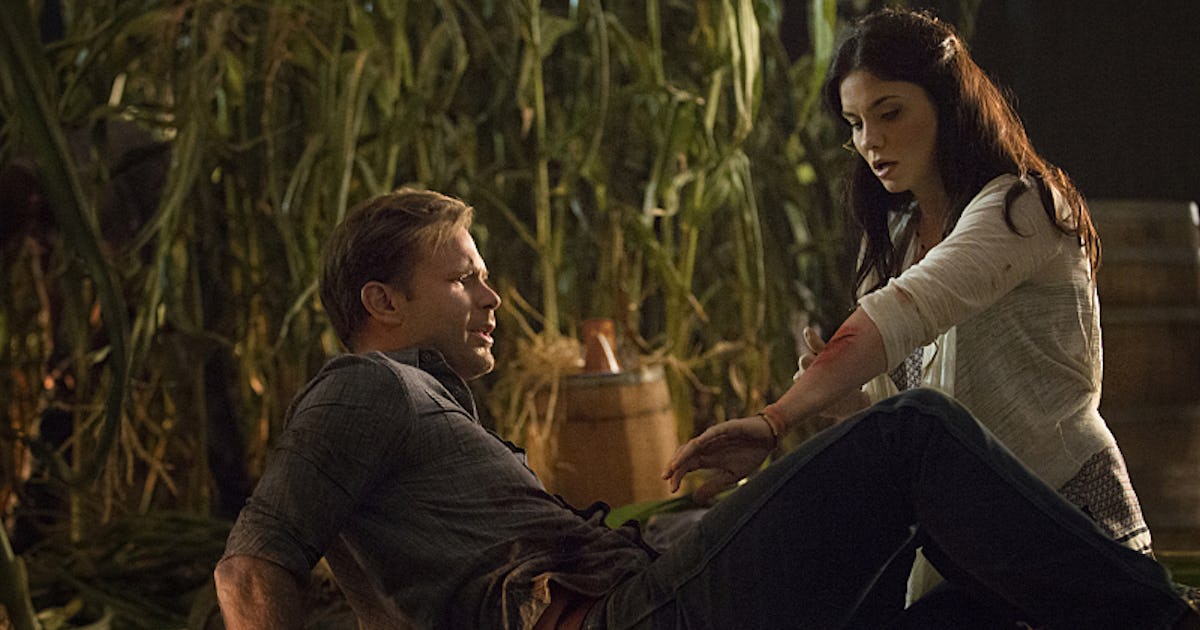 The Vampire Diaries Jo Explained Why She Can T Be Compelled Made A Huge Change For Alaric The Vampire Diaries Jo Explained Why She Can T Be Compelled Made A Huge Change For Alaric