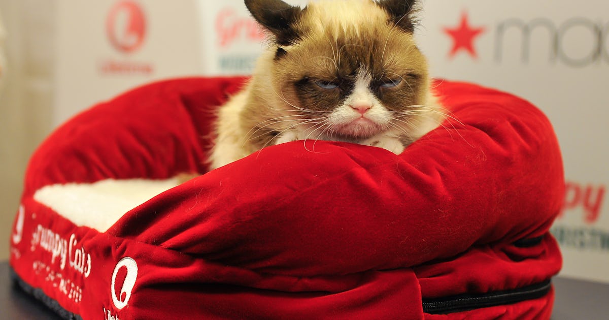 16 songs to listen to when you re just over it because every bad day deserves a playlist