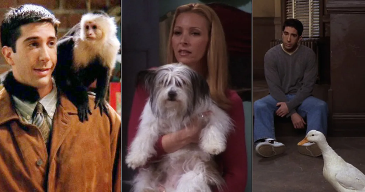 Ranking Every Animal On 'Friends,' From Marcel The Monkey To Mrs ...