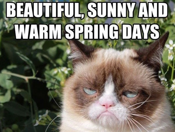 15 Funny Spring Memes To Get You Through These Chilly "Spring" Days