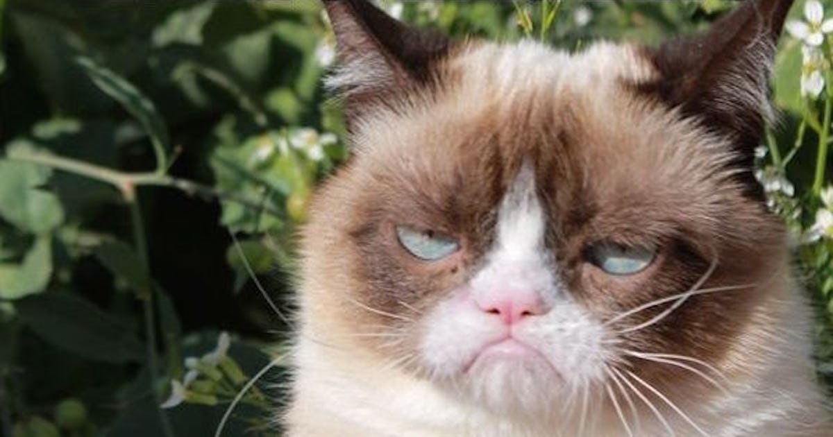 15 Funny Spring Memes To Get You Through These Chilly "Spring" Days
