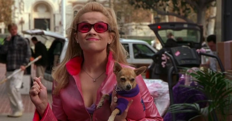 What Does Your Favorite ‘Legally Blonde’ Character Say About You? Grab ...