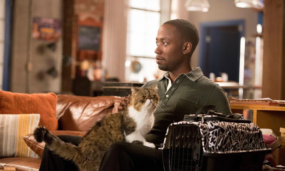 Where Is Winston s Cat On New Girl No One Knows Where Ferguson Is where-is-winston-s-cat-on-new-girl-no-one-knows-where-ferguson-is