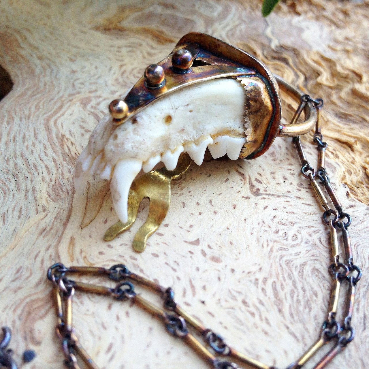 Squirrel Jawbone Earrings Spirit Jewelry Animal Bone Jewelry