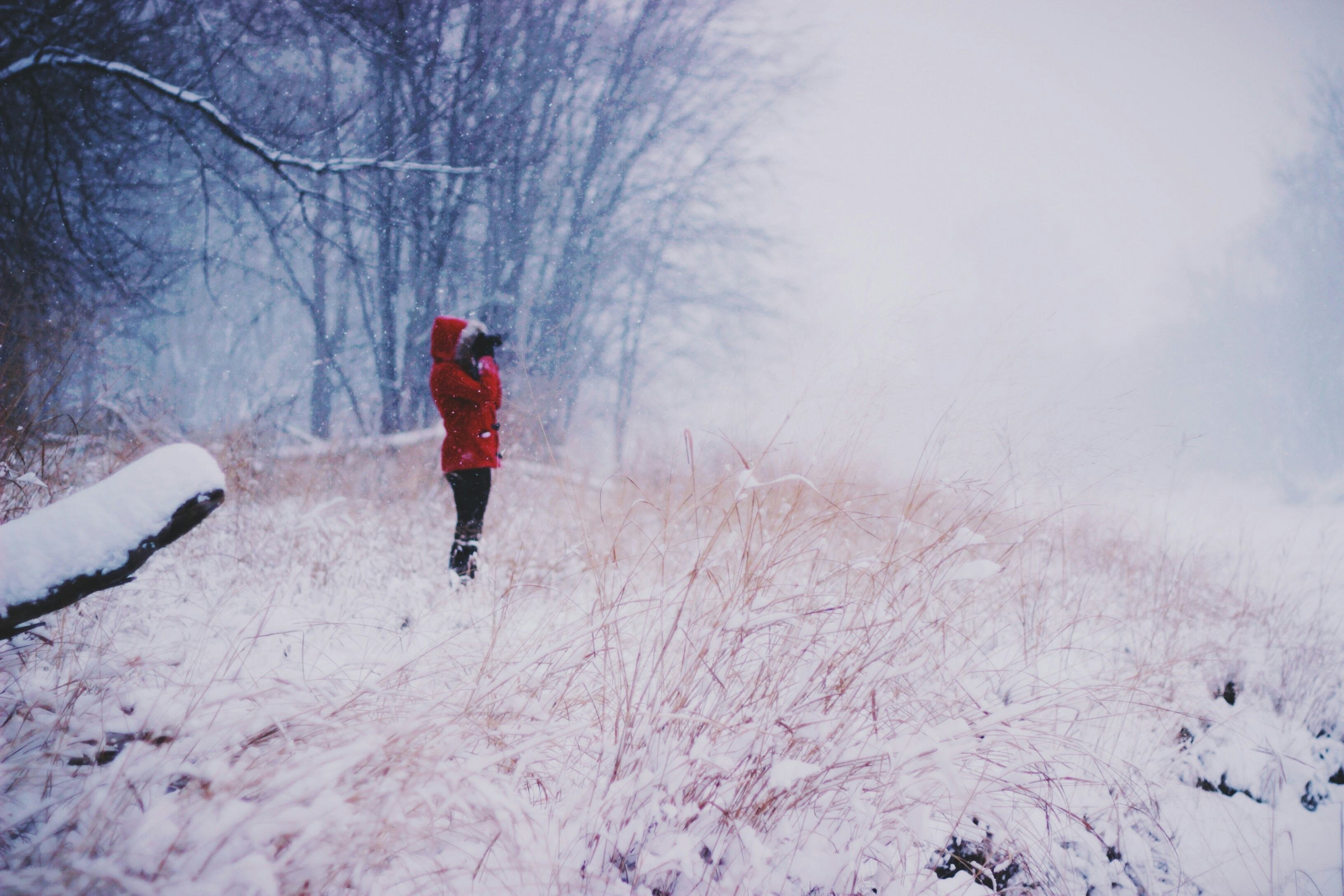 Do You Suffer From The Cold Weather Blues These 5 Simple Tricks Can Help photo Do You Suffer From The Cold Weather Blues These 5 Simple Tricks Can Help pictures