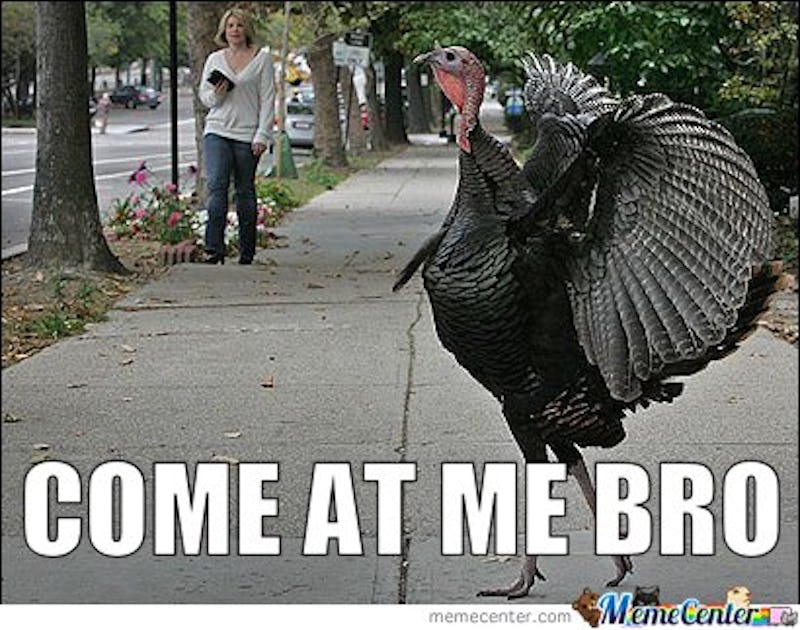 14 Thanksgiving Memes To Help You Survive The Holiday With Your Family 14 Thanksgiving Memes To Help You Survive The Holiday With Your Family