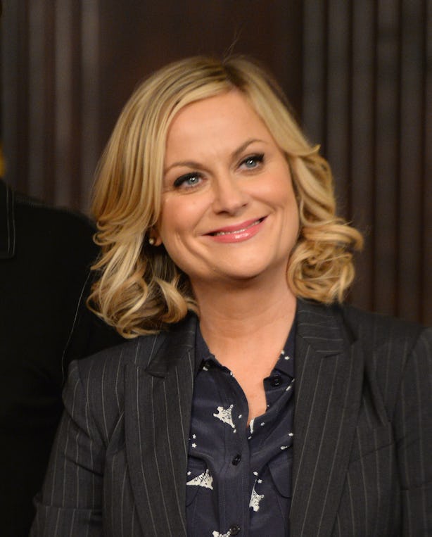 Amy Poehler Is Making Us Choose Between Her and Cats, and That's Not Okay