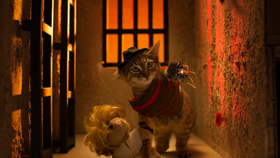 The 'Keanu' Cat Calendar Is A Purrfect Way To Celebrate The New Movie
