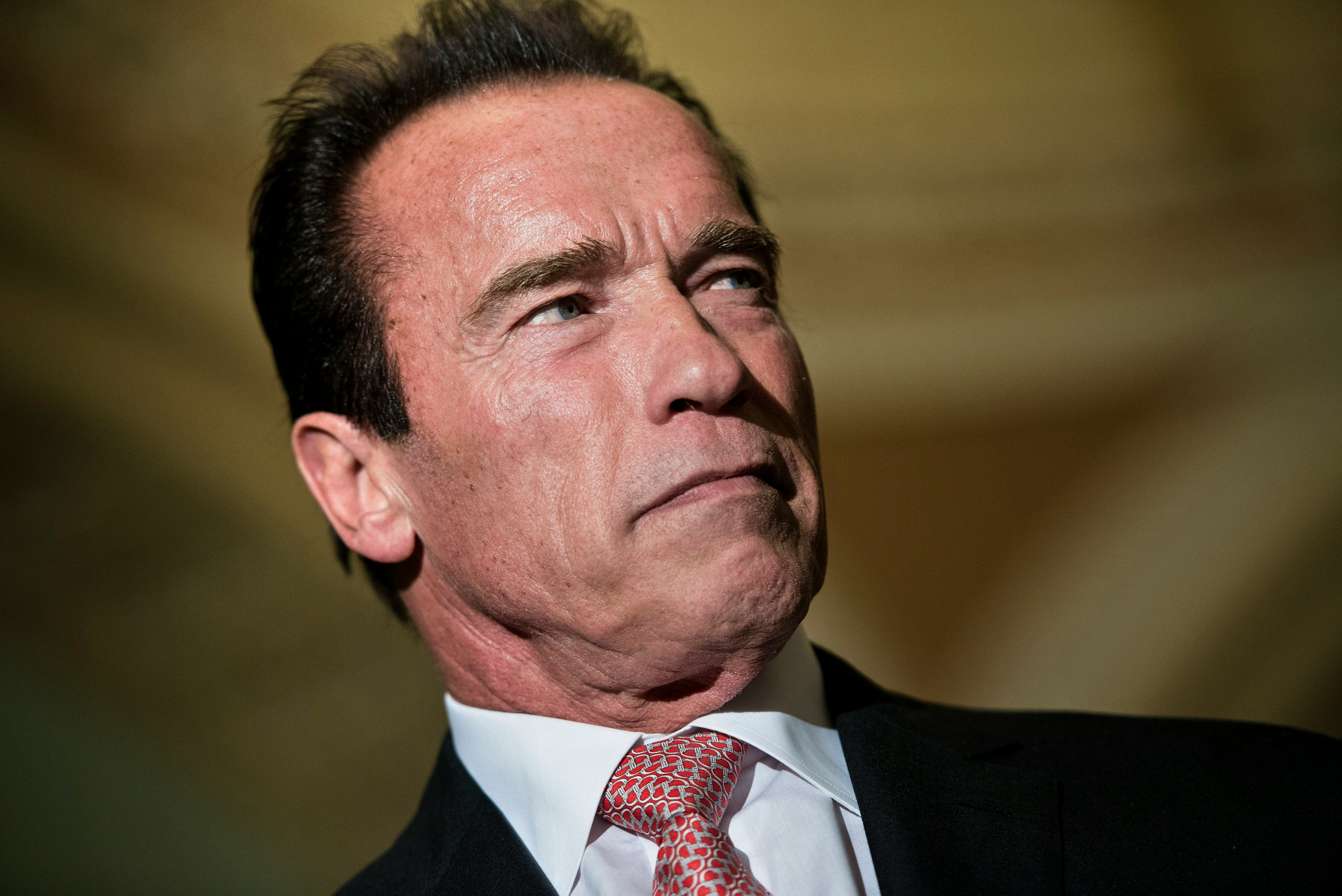 who replaced arnold schwarzenegger in a movie who replaced arnold schwarzenegger in a movie