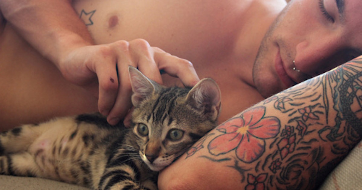 Téléchargement gratuit Images 10 Reasons To Date A Man Who Owns A Cat Because It Actually Makes dernière salutations