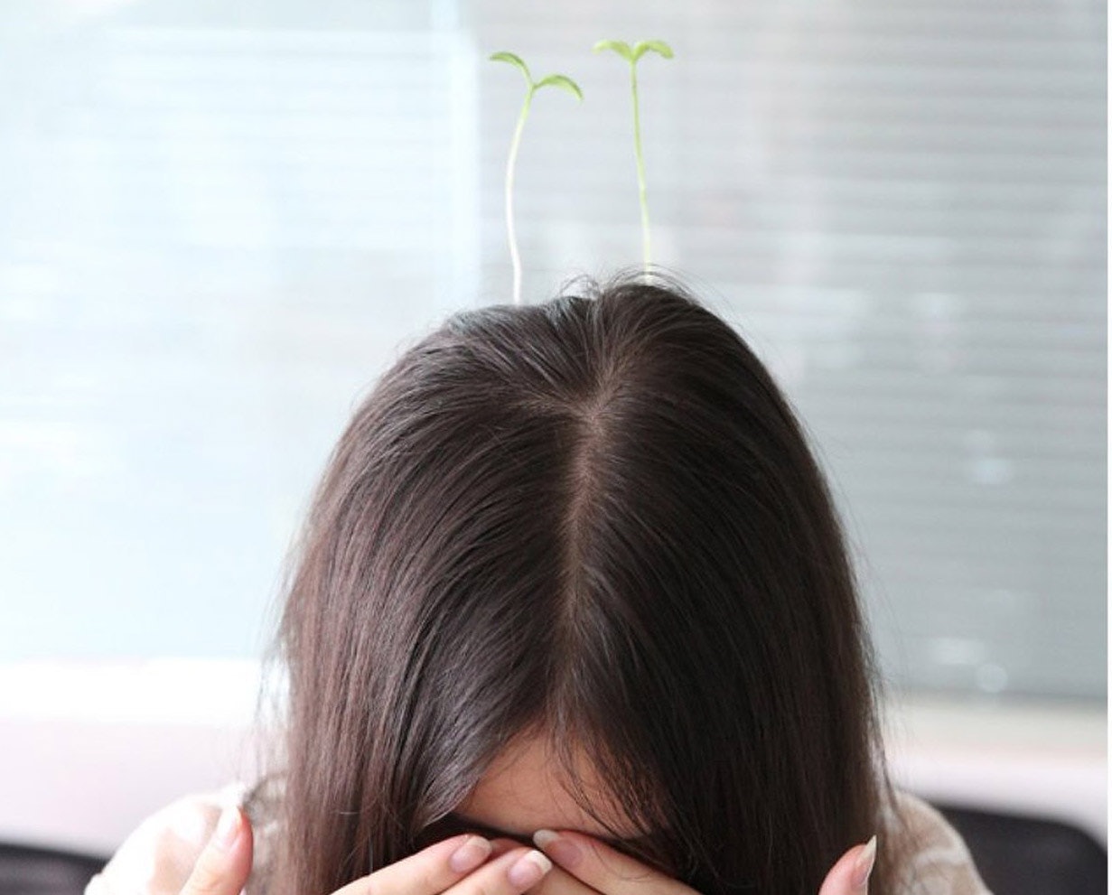 chinese bean sprout hair clip