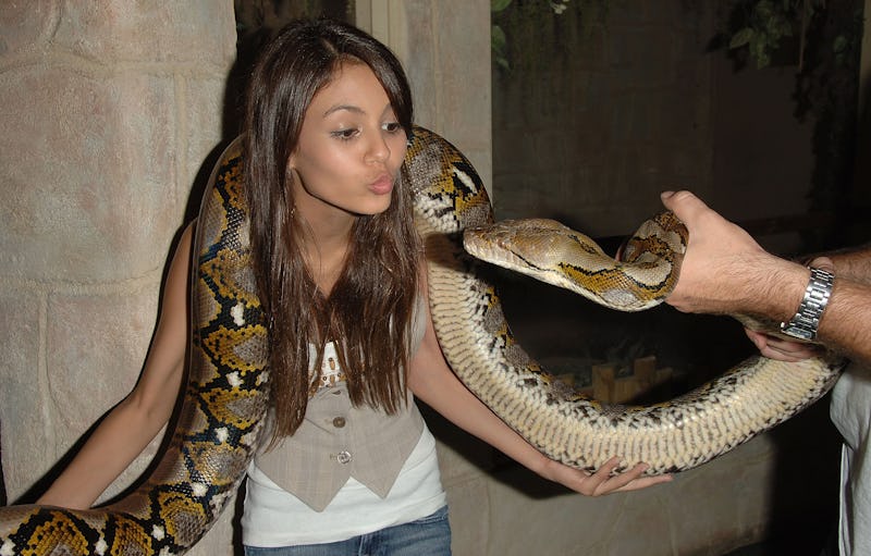 This Documentary Will Show An Anaconda Eating A Man Alive Because Apparently We Ve Run Out Of Things To Make Documentaries About