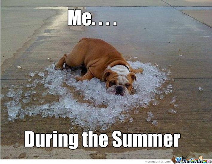 12 Funny Summer Memes That Will Make You See The Season Differently