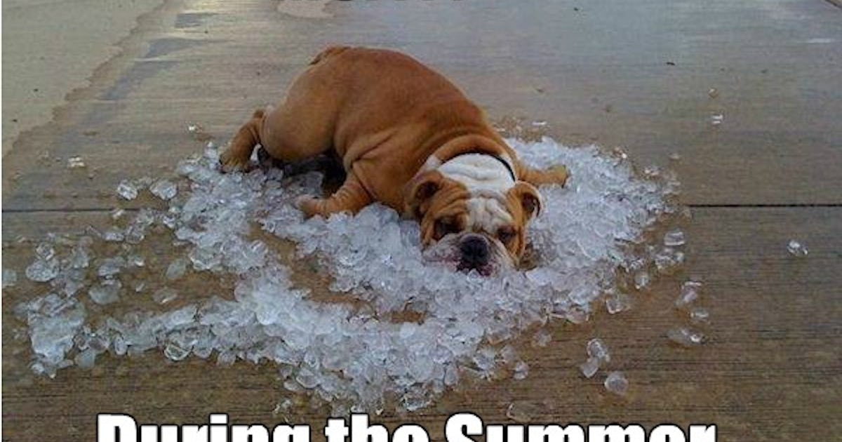 12 Funny Summer Memes That Will Make You See The Season Differently