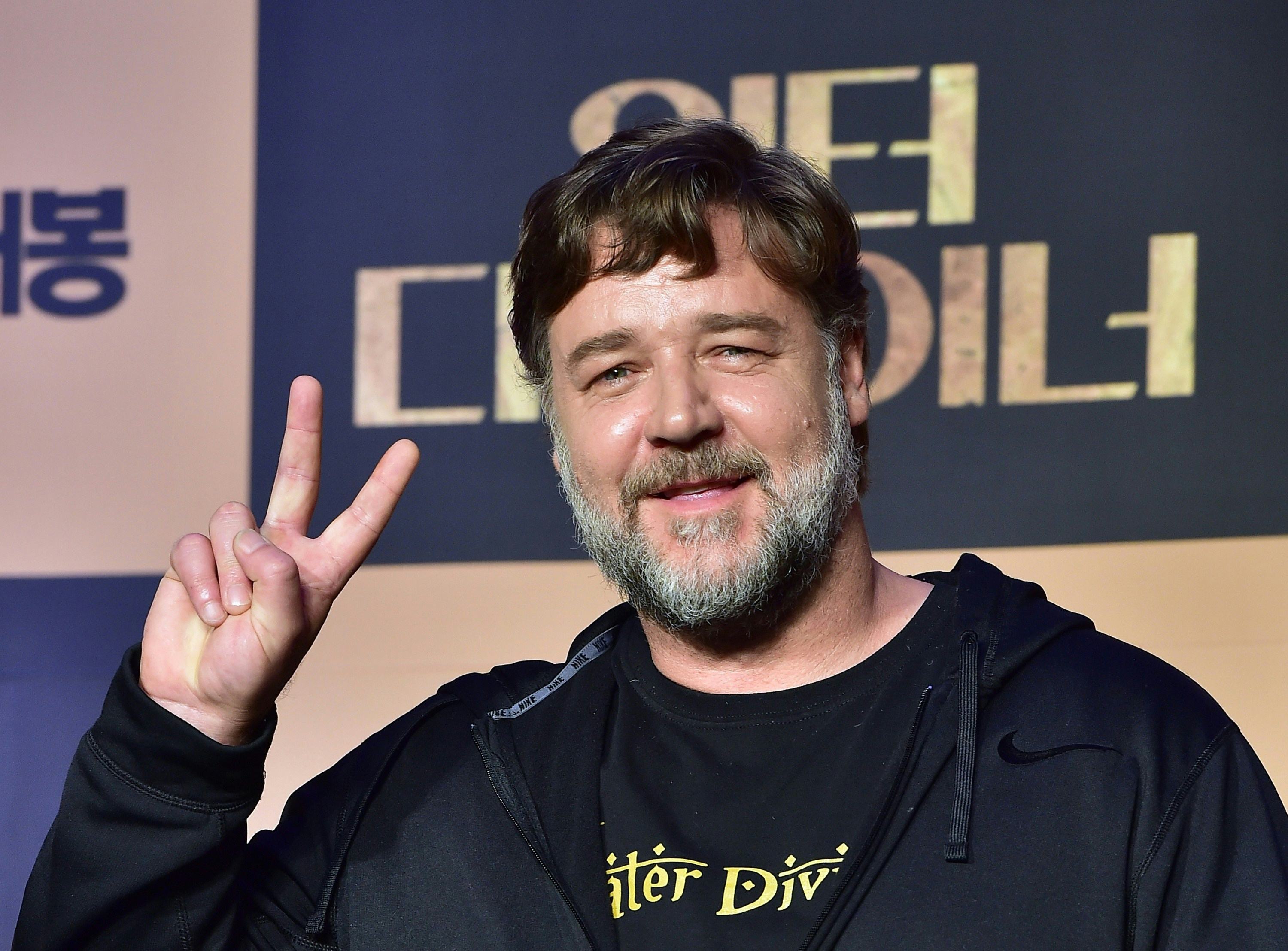 Джек-рассел-терьер рост щенка. Рост рассела. Рост рассела. Стандарты джек рассел терьера. Рассел кроу.