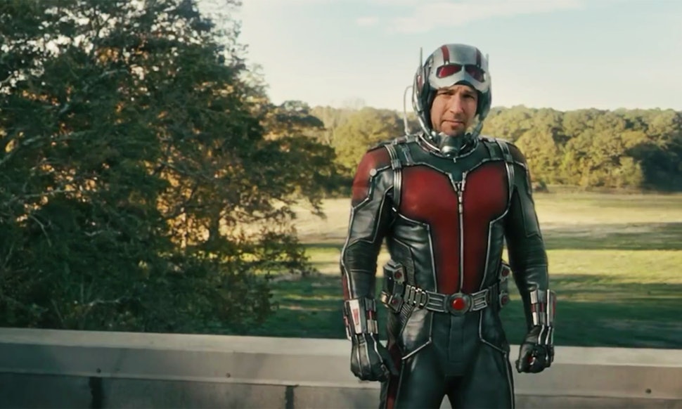 Image result for paul rudd antman