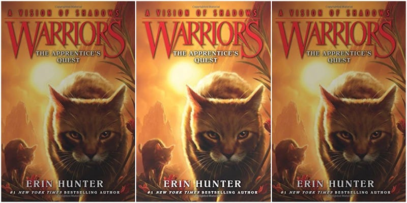 6 Reasons The 'Warriors' Books Were Actually Very Strange